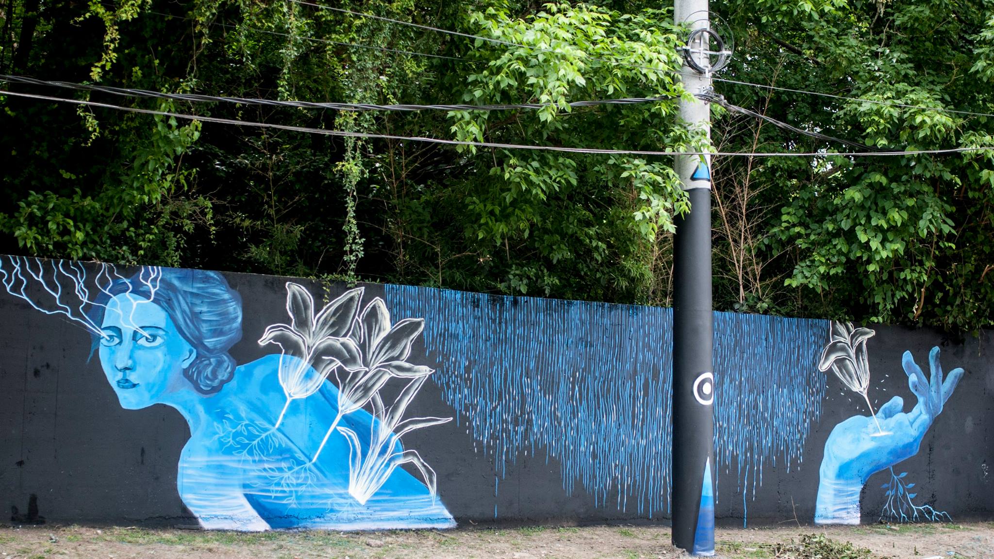 Street Art #860