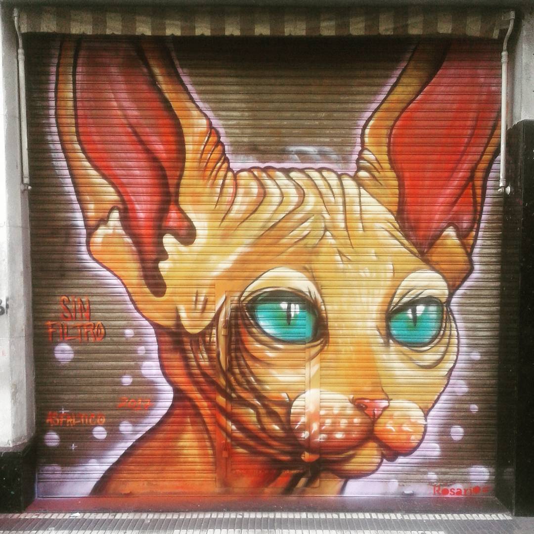 Street Art #1178