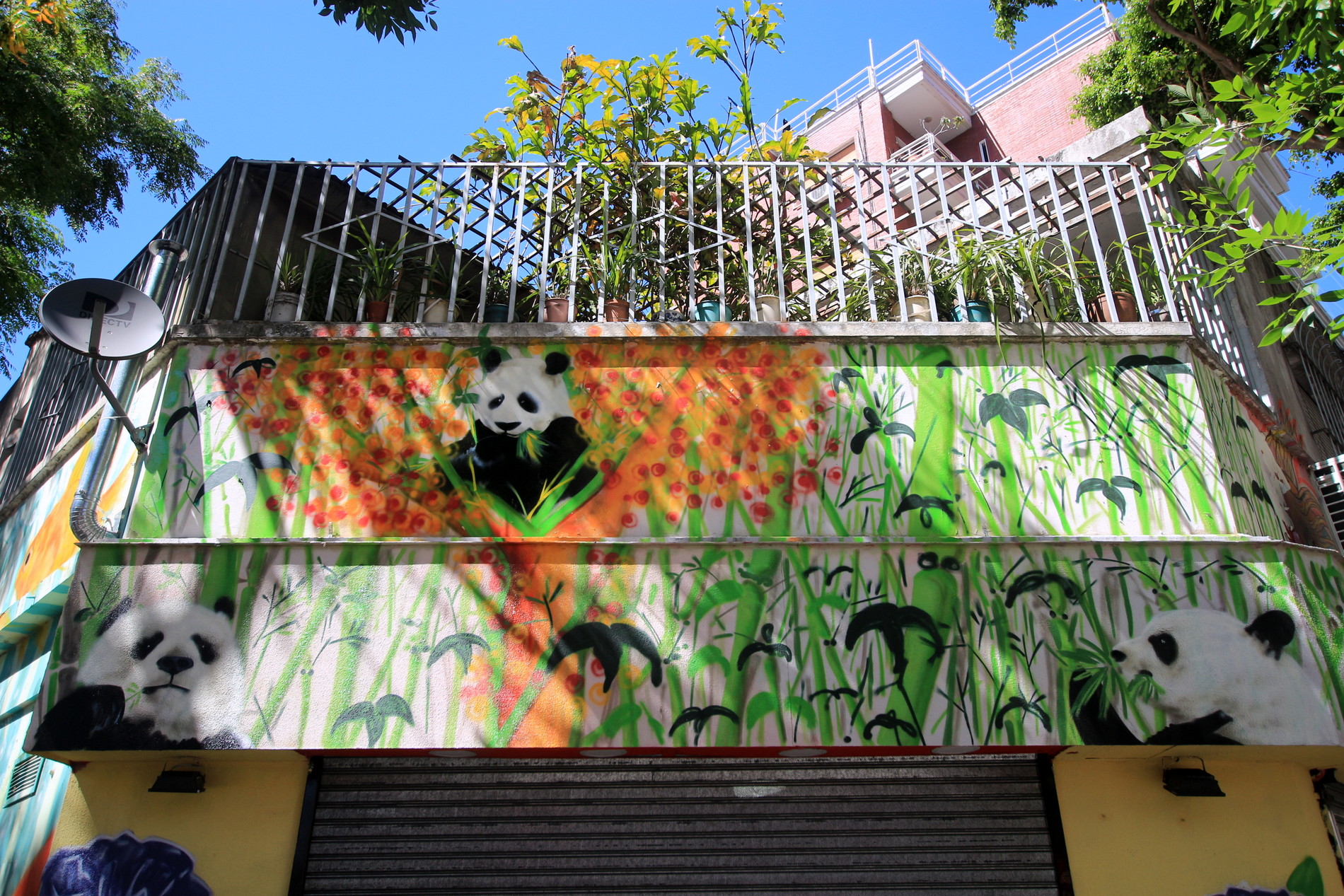 Street Art #1253