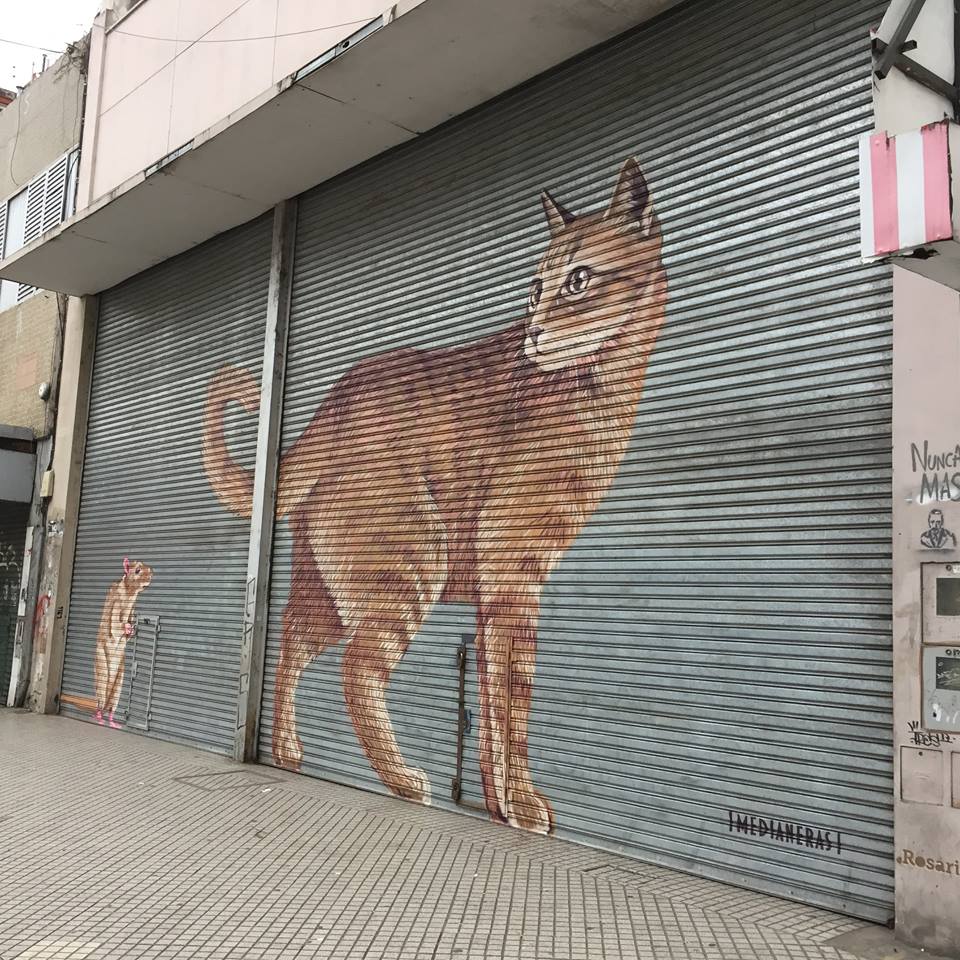 Street Art #2128