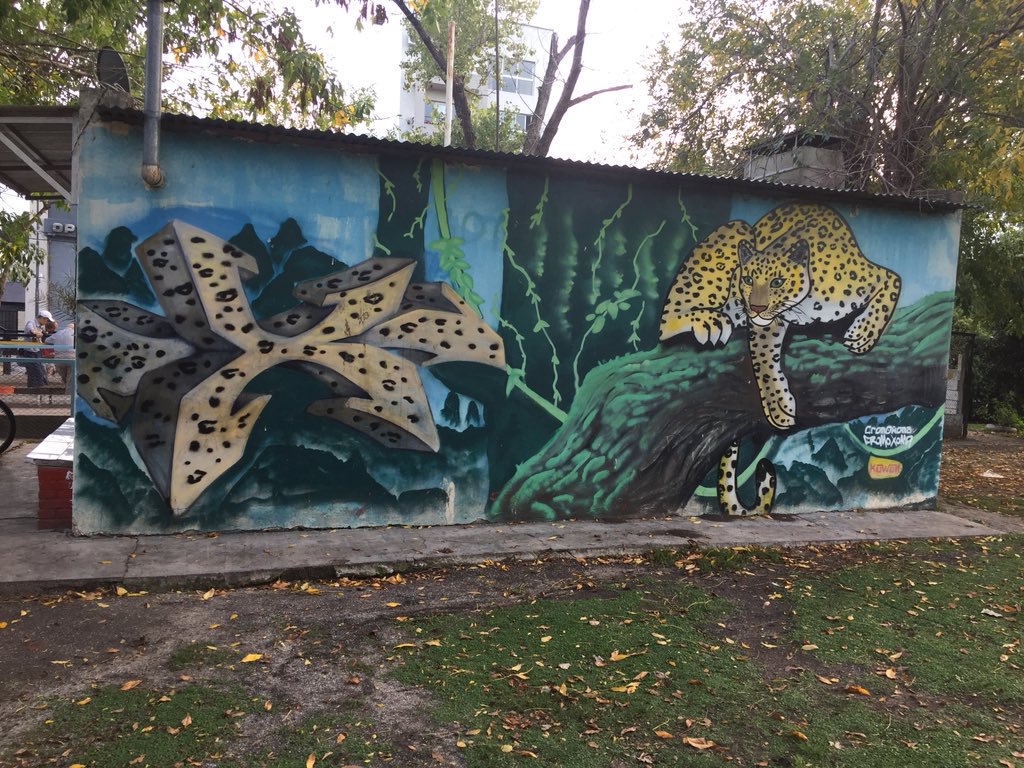 Street Art #2154