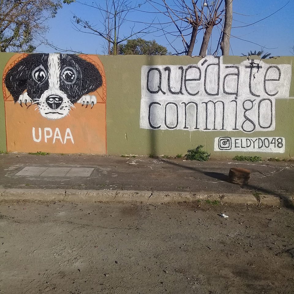 Street Art #2298