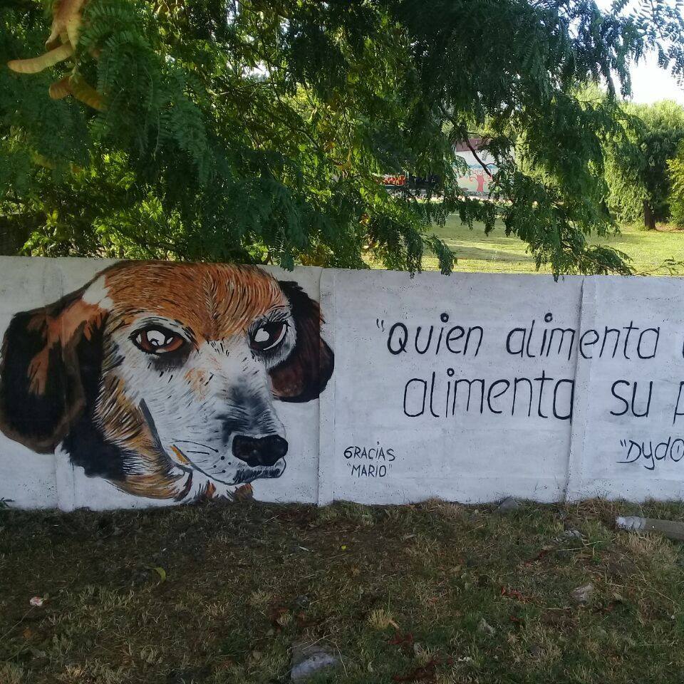 Street Art #2299