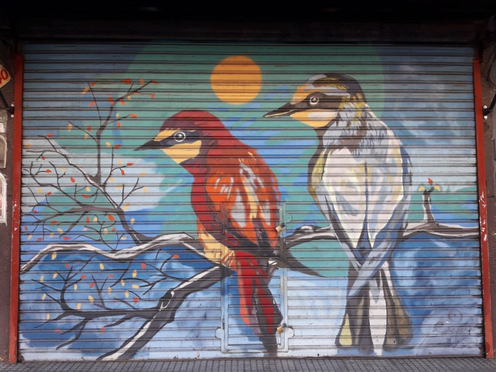 Street Art #2587