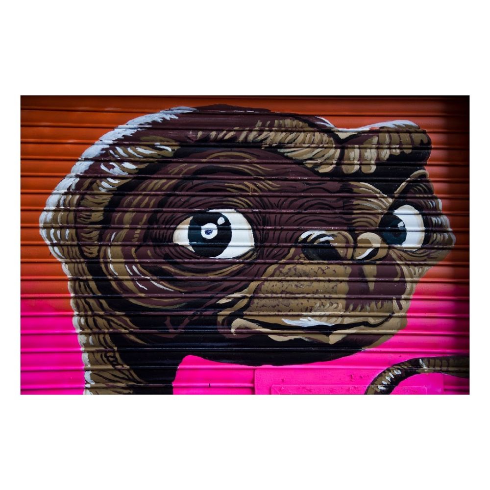 Street Art #3269