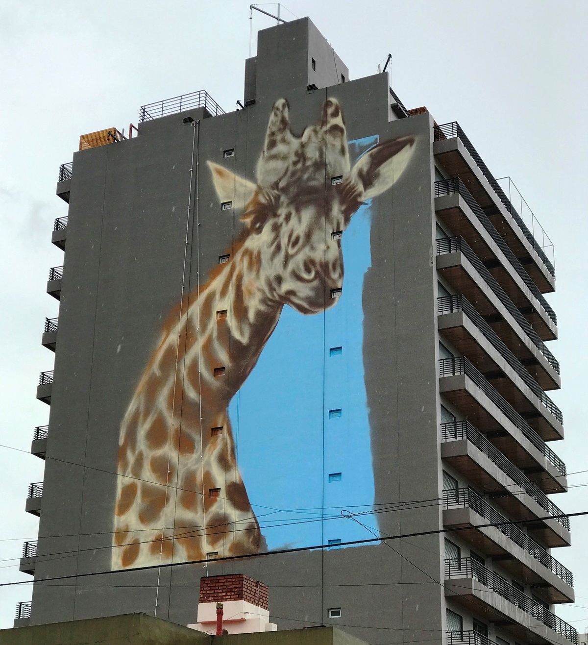Street Art #3461
