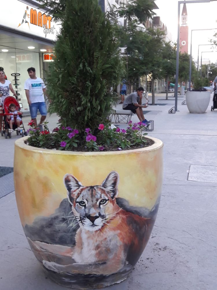 Street Art #3464