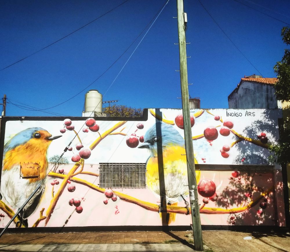 Street Art #3617