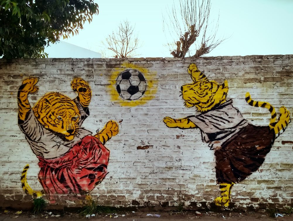 Street Art #3583