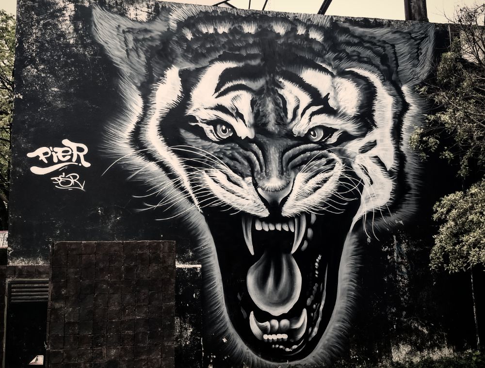 Street Art #3679