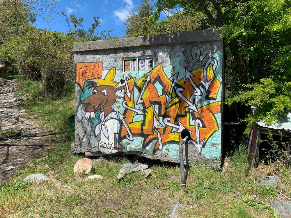 Street Art #3701