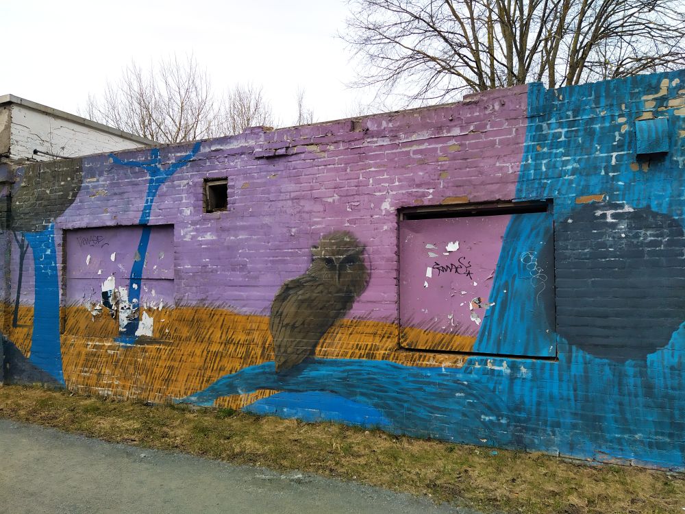 Street Art #3795