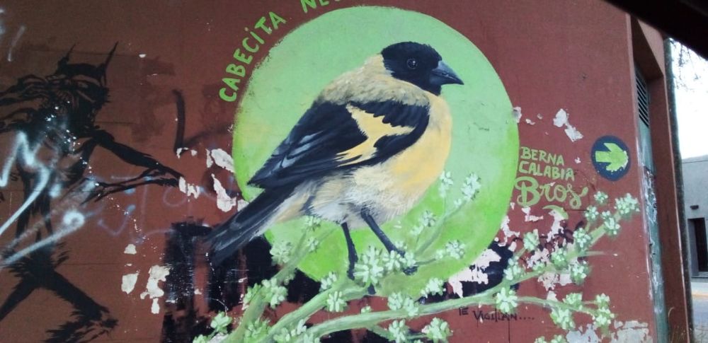 Street Art #4666