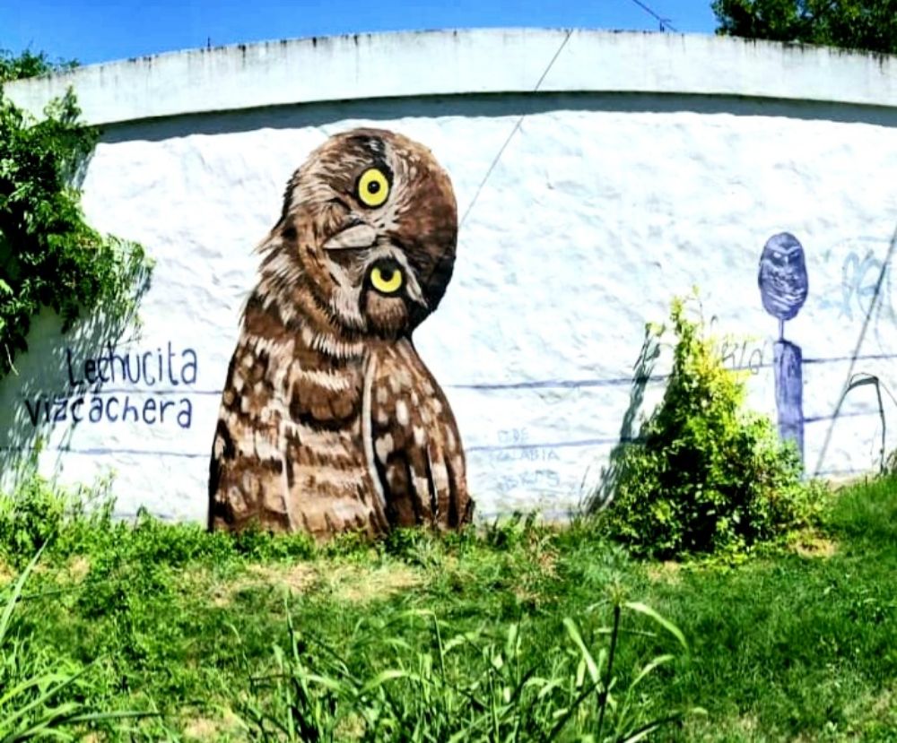 Street Art #4676