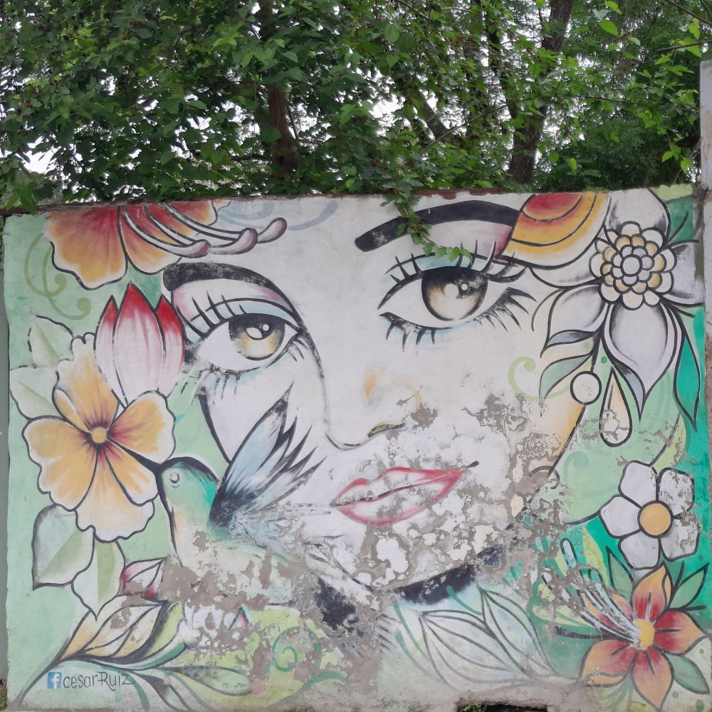 Street Art #4691