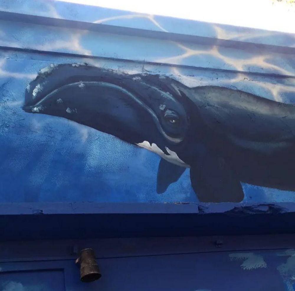 Street Art #5515