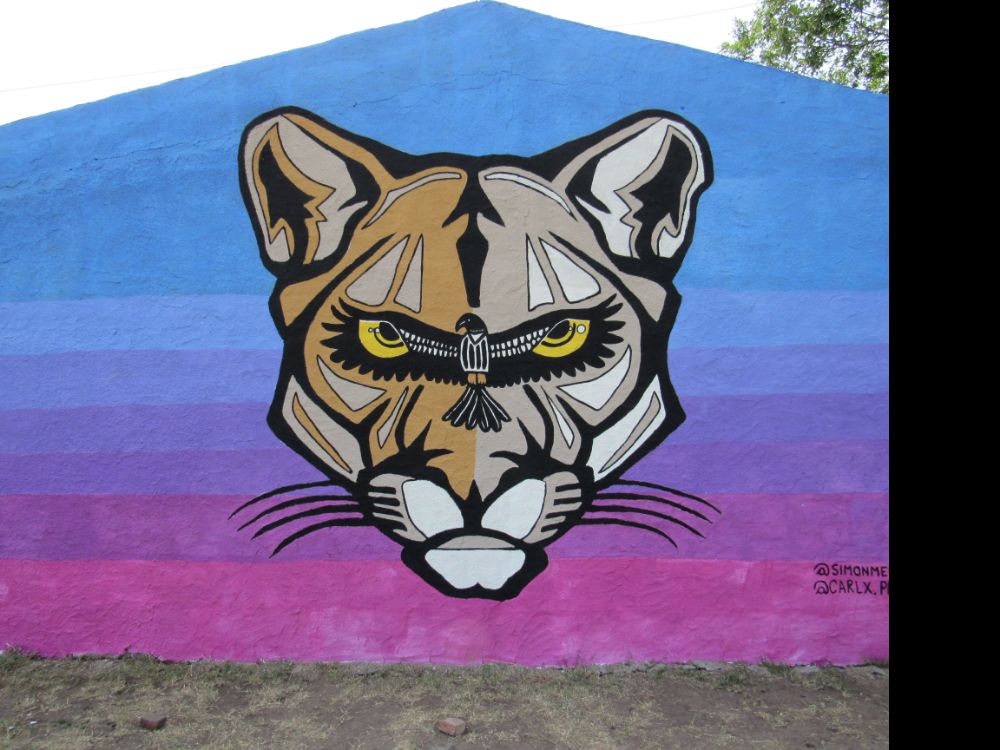 Street Art #5518