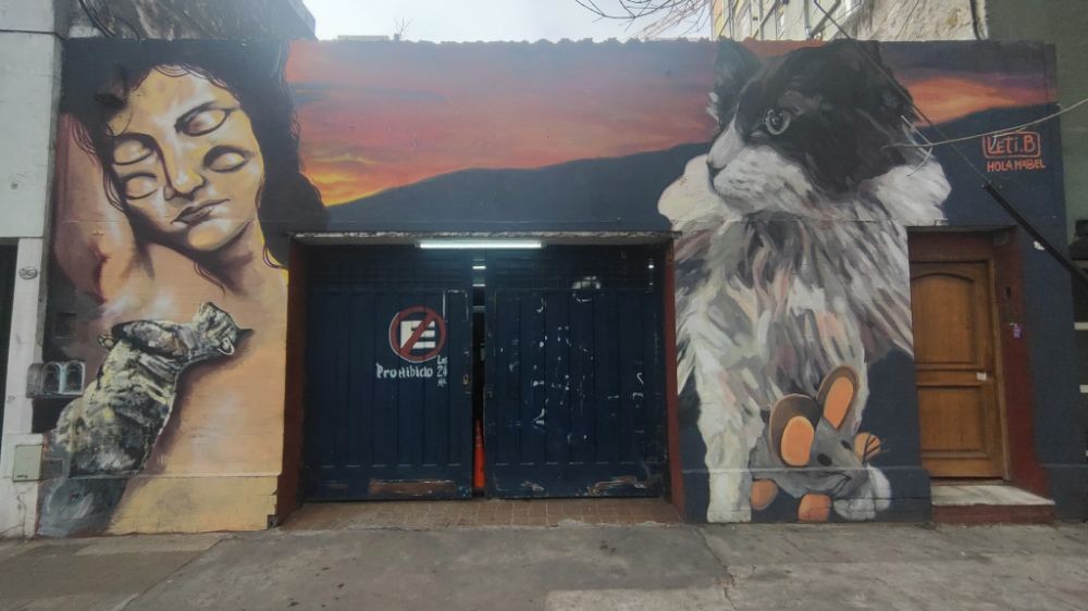 Street Art #7198